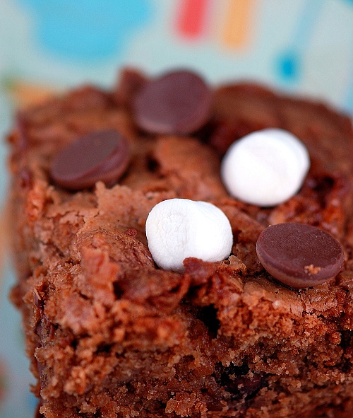 Close up of the marshmallows and chocolate chips on a S'mores Graham Cracker Blondie