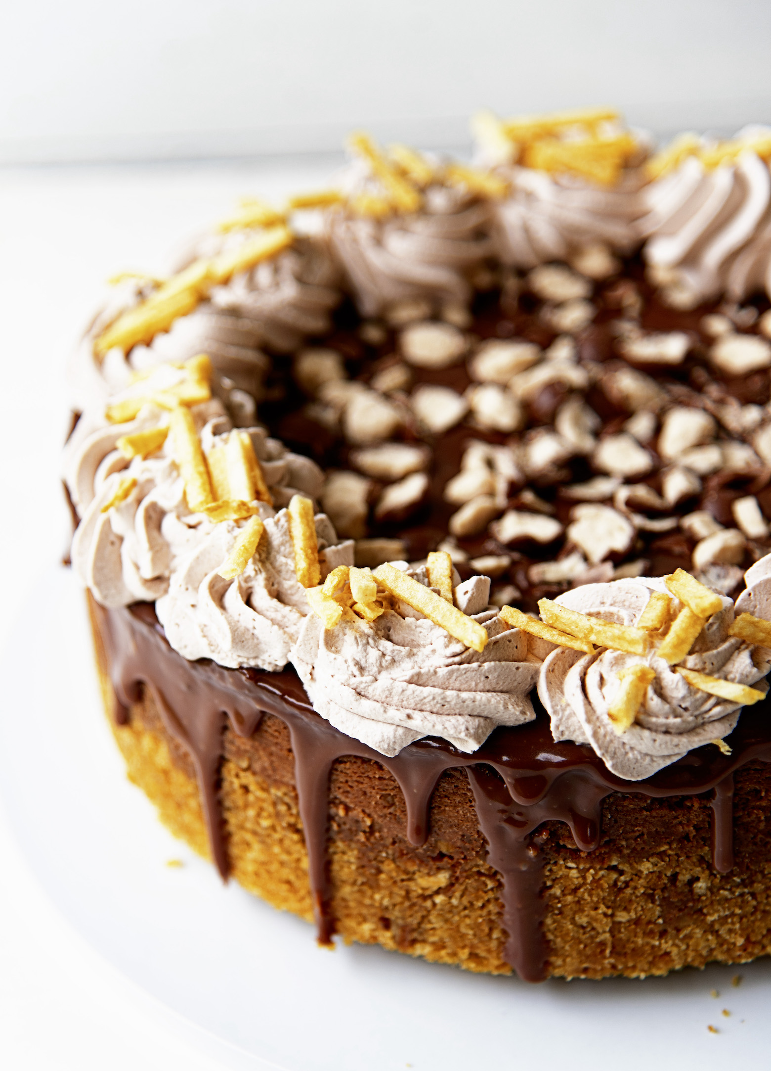 Side view of the Chocolate Malt French Fry Cheesecake with focus on the chocolate whipped cream and chocolate ganache drips. 