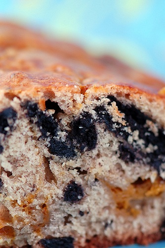 Close up of the Pumpkin Oreo Coffee Cake