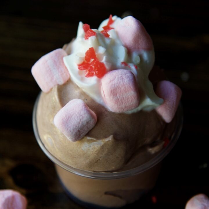Peppermint Hot Chocolate Pudding Shots 