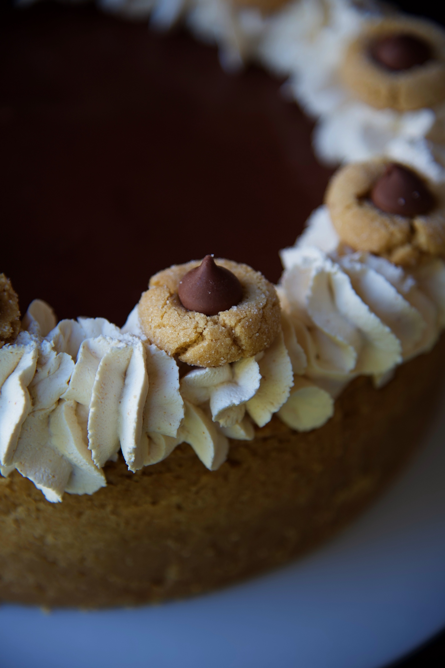 Up Close view of the crust topped with whipped cream and mini peanut butter blossom cookies